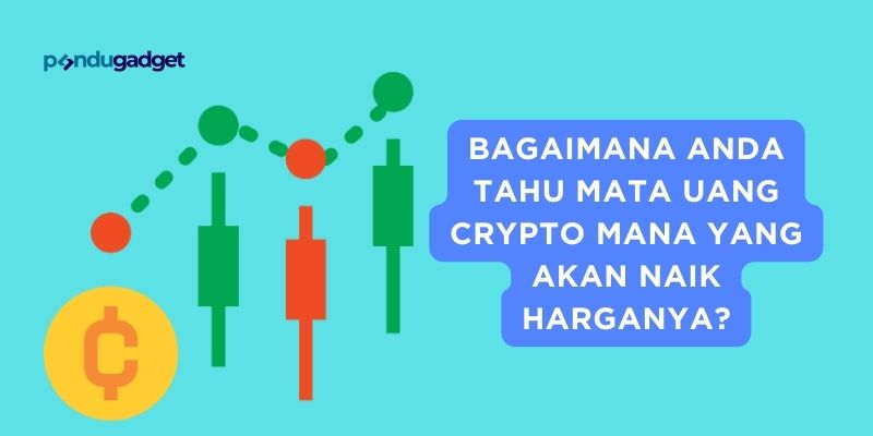 Bagaimana Anda tahu mata uang Crypto mana yang akan naik harganya?