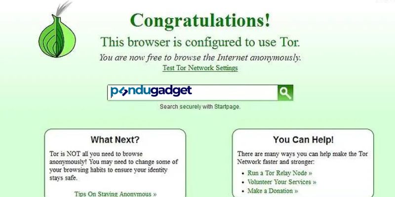 Browser Web Terbaik: Tor