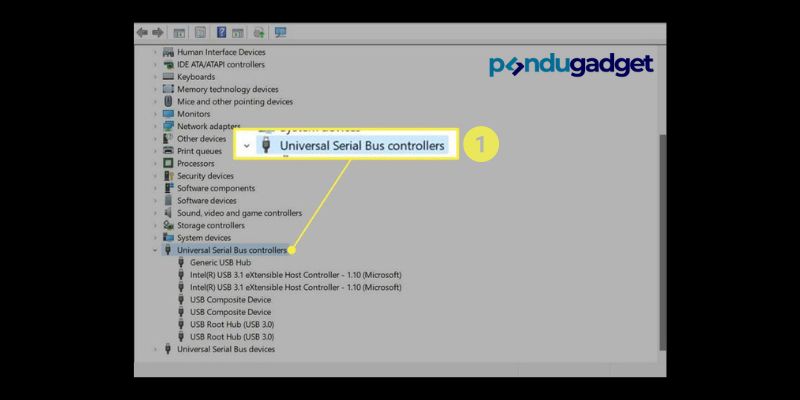 Universal Serial Bus controllers