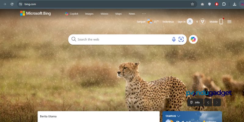 Bing Copilot  AI